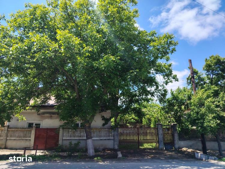 PROPRIETATE MARE IN COMUNA LEU, DOLJ, 2023MP TEREN - 19
