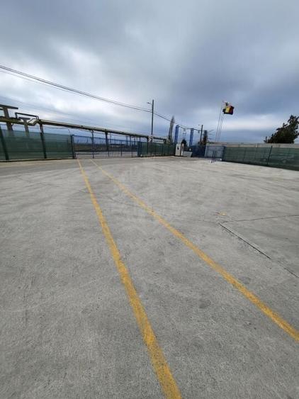 HALA 1800 MP//PLATFORMA BETONATA 5200 MP//ZONA BRAZI - 12