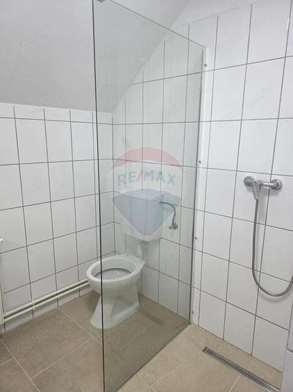 Spa?iu comercial de inchiriat in zona Vasia - 8