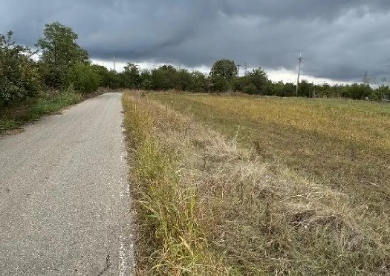 Vand teren Intravilan 1400 MP in Parcul National Comana - Vlad Tepes - 3