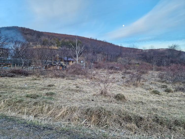 Teren intravilan 4640 mp, Piatra Neamt - 1