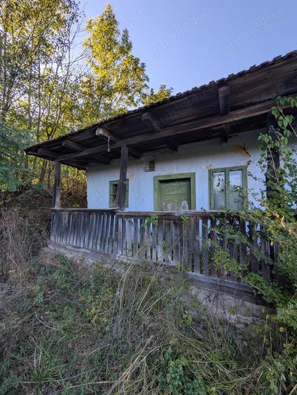 Casa ?araneasca cu livada ?i gradina mare,Vata de jos,Hunedoara - 2