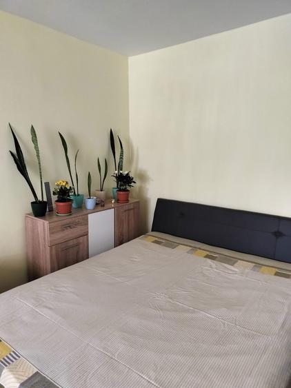 Apartament cu o camera, direct de la proprietar, Zona Freidorf - 7