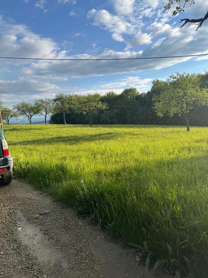 Pamant de vanzare - 6