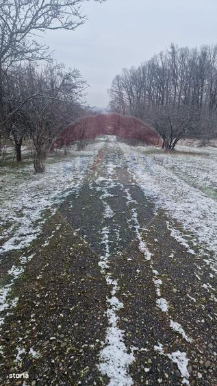 Teren 5,700mp Somcuta Mare / investitie cu potential major - 3