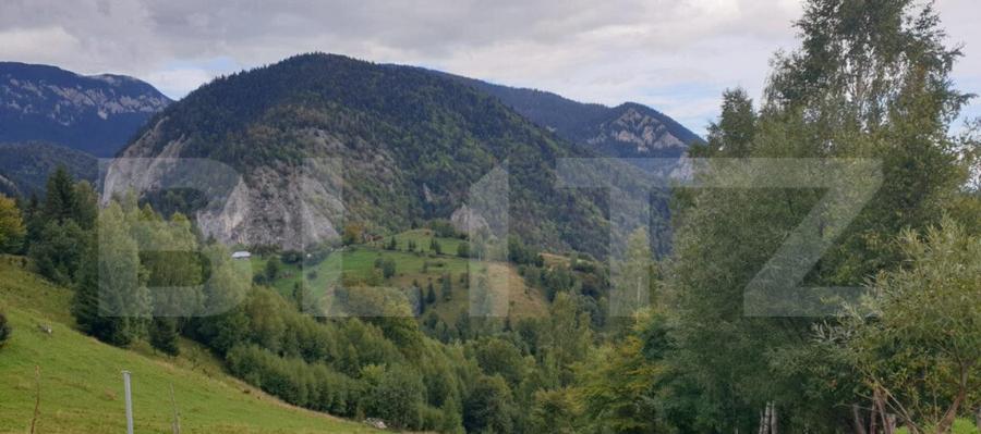 Teren 13.570 mp, Moieciu Pestera - 2