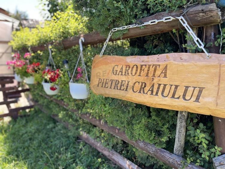 Pensiune de vanzare in varf de munte la Ciocanu - langa Sirnea - 2