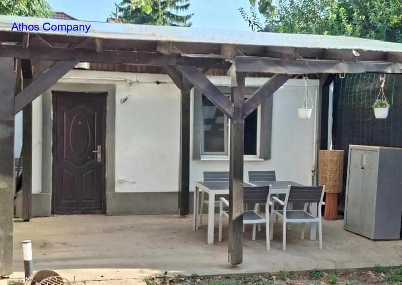 Bdul Ion Mihalache- Pta Chibrit - 2