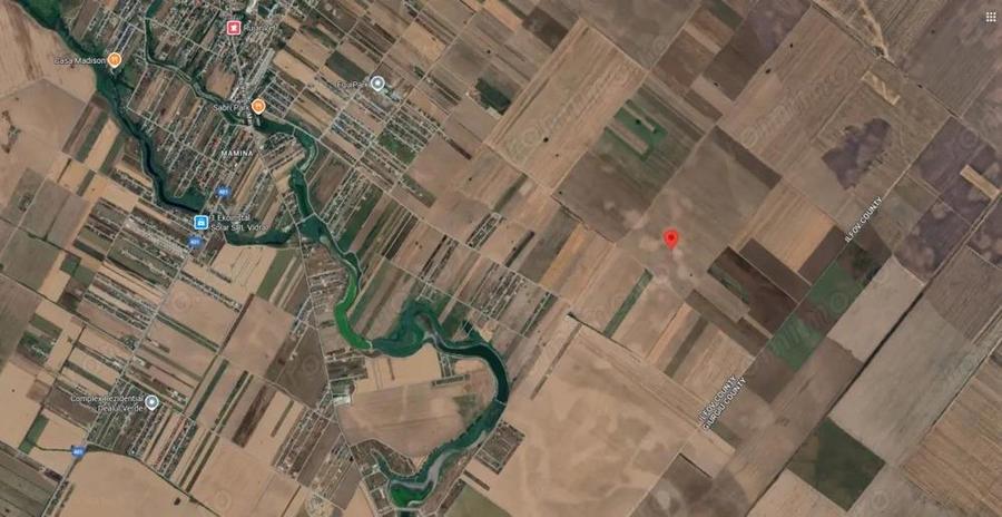 Teren Extravilan In Rate Primaverii Com. Berceni | 9127mp | #EG1E - 3