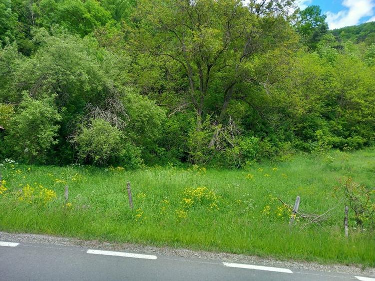 Vand Teren Intravilan Cluj com.Iara sat.Lungesti - 5