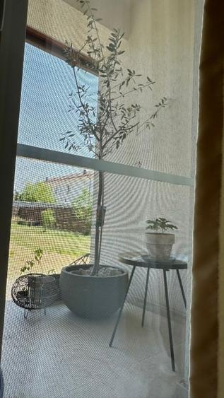 Casa individuala  Via Carmina - 6