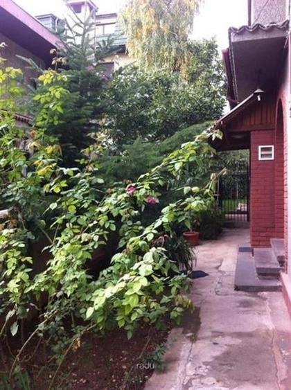 Vanzare apartament 5 camere demisol Televiziune - 2