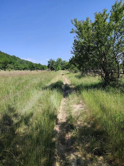Teren de 1357 mp, în Pietroșani