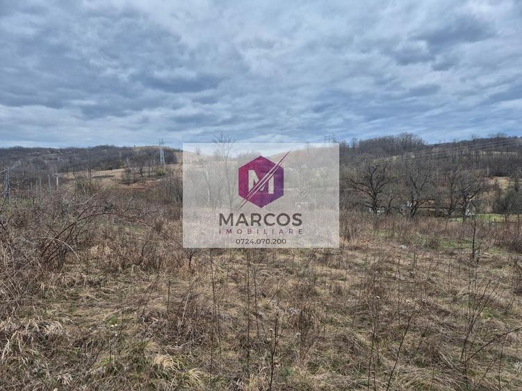 Teren agricol extravilan de 11400 mp, în Iabalcea