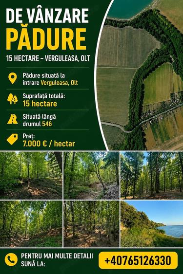 Teren de 15 mp, în Verguleasa