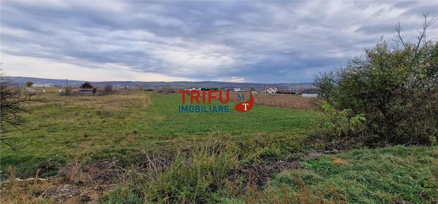 Teren Construcții intravilan de 2160 mp, în Partoș