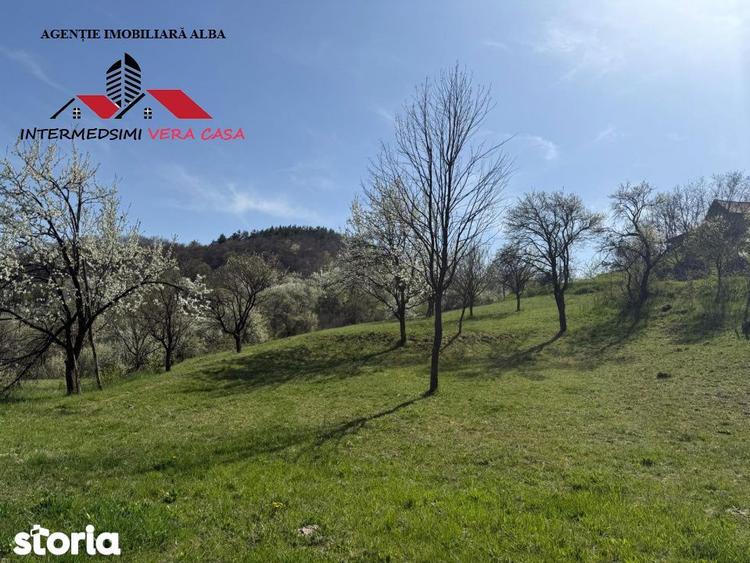 Teren de 13698 mp, în Vințu de Jos