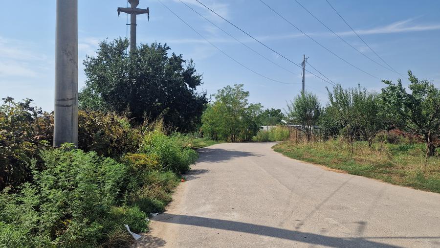 Teren Construcții intravilan de 6000 mp, în Săbăreni
