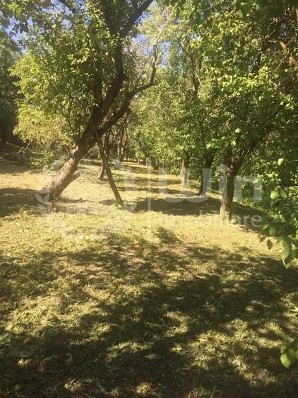 Teren construibil 2000mp | Front 20m | Sat Gheorghieni - 5