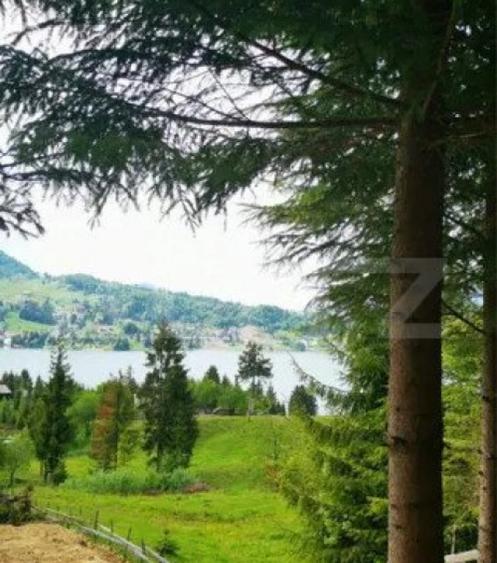 Teren Colibita, 1120 mp - 1