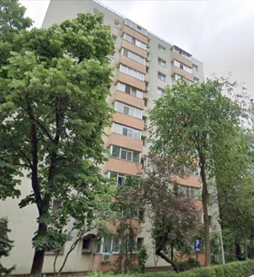 Lacul Tei,Teiul Doamnei vav Parc Tei - 1