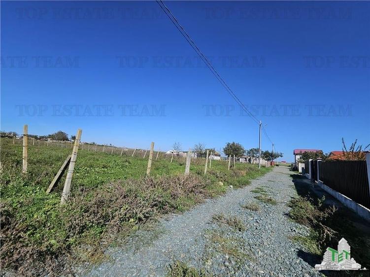 TEREN 500 MP COSTINESTI ZONA CASA BARINA - 2