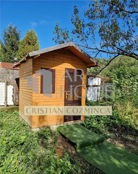 Teren cu constructii Cosmina de Sus - Foisor, baie, cabanuta - 7