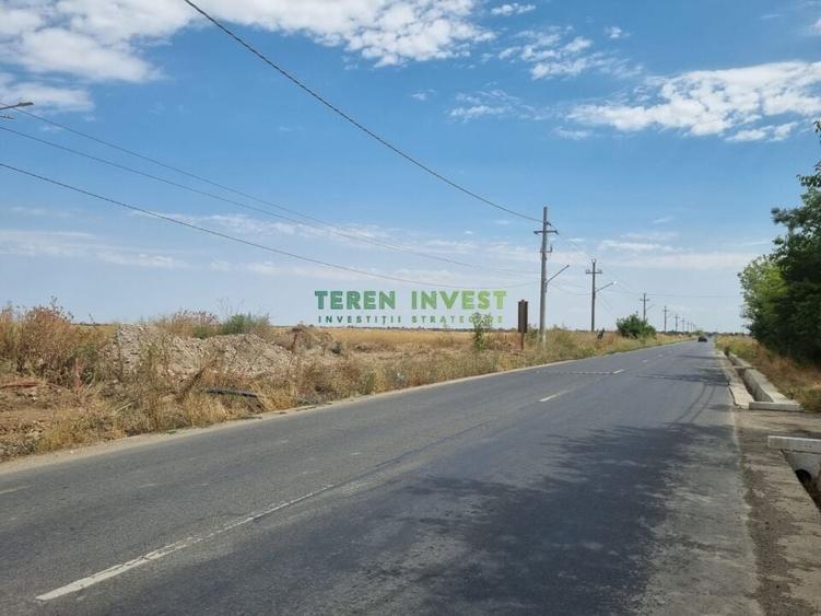 TEREN INDUSTRIAL 20.000 MP - TANGANU - A2 PUZ APROBAT - 1