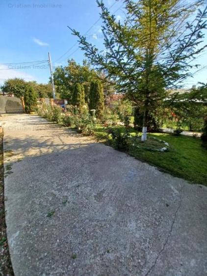 Vila P+M, Cazasu- MOBILATA utilata - 5