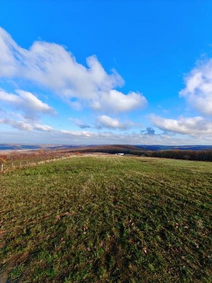 Teren intravilan 3.000 mp – 8 min de Oradea, Săldăbagiu de Munte - 3