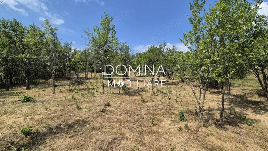 Vanzare casa batraneasca ?i teren in apropiere de complex turistic Mu?ete?ti - 8