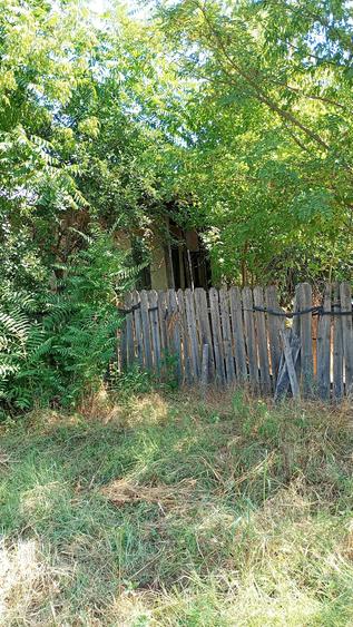 Casa demolabila cu teren 2500 mp sat Plevna com Lup?anu Calara?i apa curent 12000 Euro variante - 2