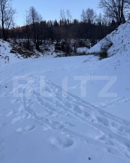 Teren de vanzare in Vorone?, 6000 mp + o casa batranea - 1