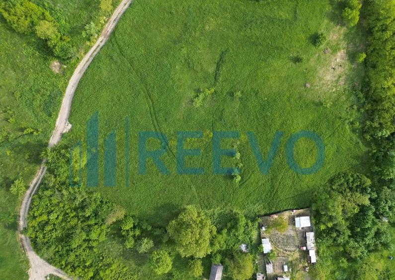 Teren de vanzare, Com. Racova, Str. Bradului, Bacau - 4