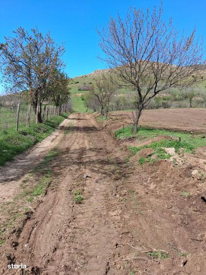 Teren de vanzare loca?ie deosebita in Greci, Mun?ii Macin - 3