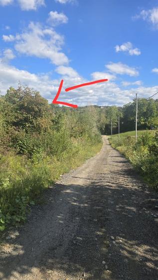 Loturi teren Poiana Campina, 30eur/mp,apa,curent,gata pentru construir - 6