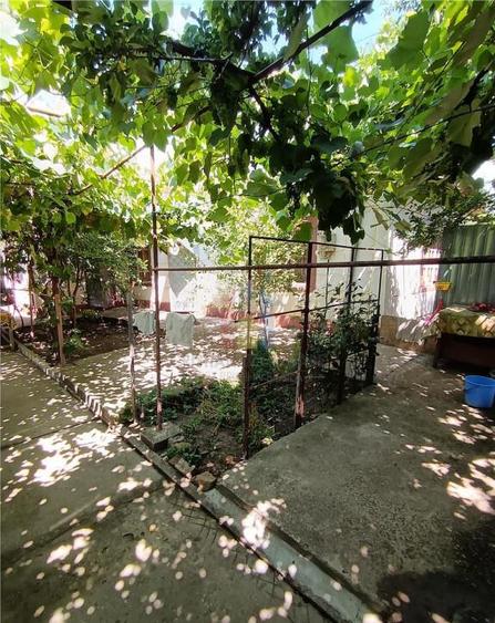 Casa de vacanta, Cazasu cu suprafata generoasa teren 824mp - 7