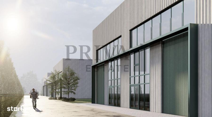 Hala premium, 456.5 mp/228 mp, Torontalului/Metro - 6