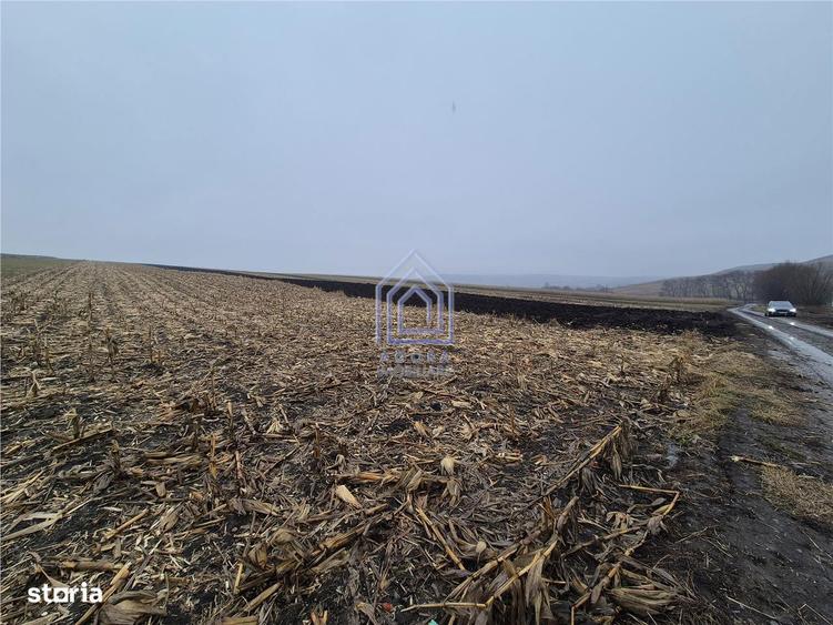 Teren intravilan Moara Carp - zona Ponoare - 1