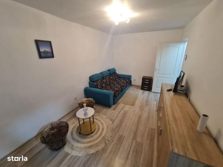 Inchitiez Garsoniera Confort 1 Micalaca Cenad,proaspat Zugravita Eta3 - 16