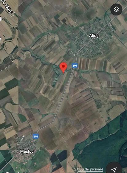 AV655 Teren-Balta 6.663mp, in Masloc-Alios, IDEAL INVESTITIE - 9