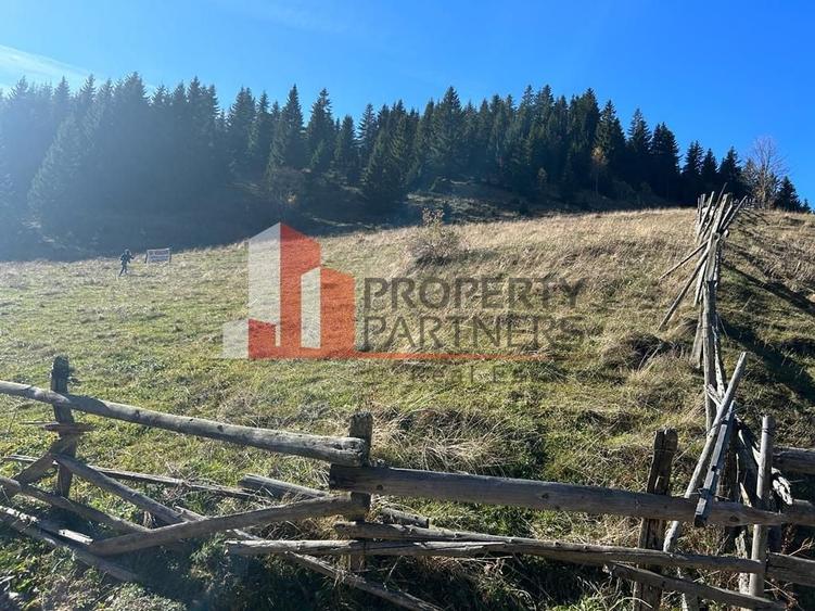 Teren Fundatica intravilan 4500 mp - 11