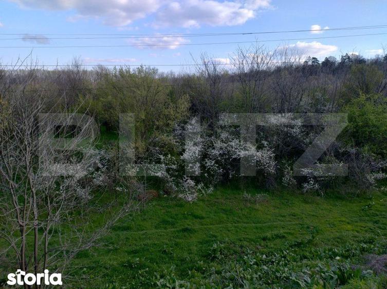 Teren padure 10 ha, extravilan, 400 ml deschidere, stradal, zona Breas - 2