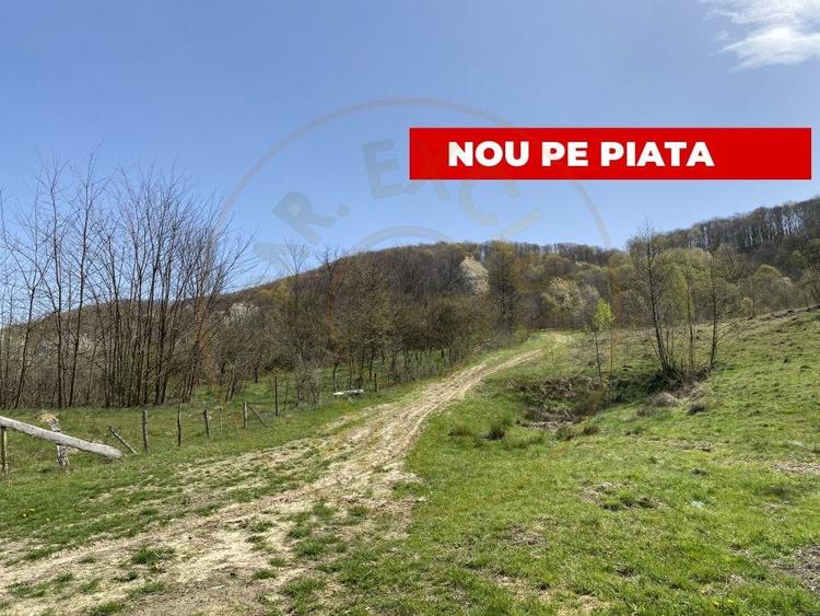 Teren 13.000 mp zona de deal - Aninoasa AG - 2