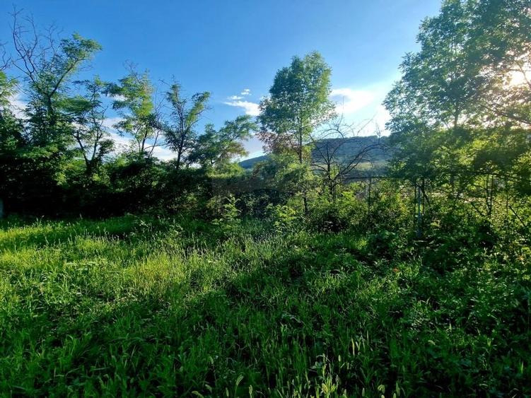 Teren 1,749mp Piatra-Neamt / Strada Zambilelor - 26