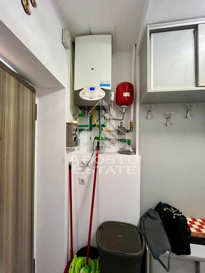 Doua apartamente la curte comuna,zona Traian - 8