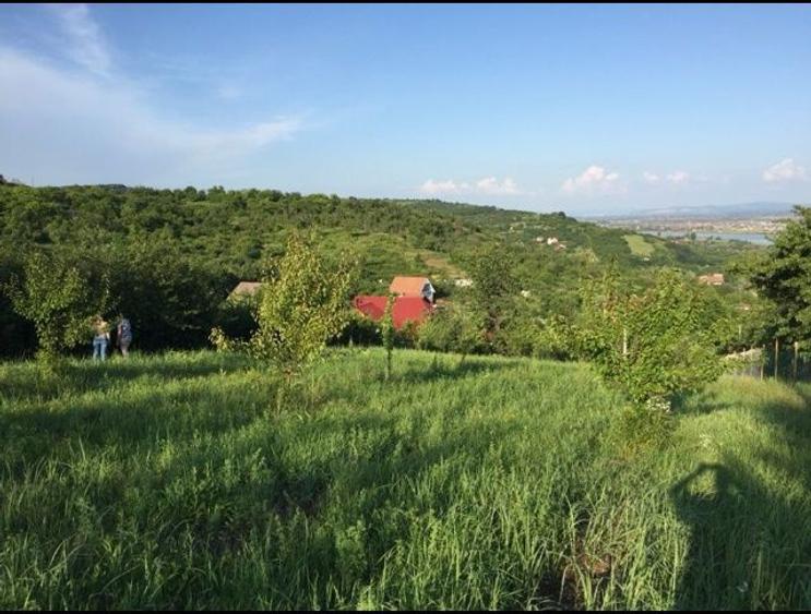 Teren intravilan Podgoria Oradea cu panorama / priveliste / view - 3