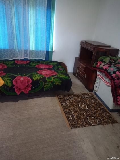 Vand casa in Geoagiu bai - 7