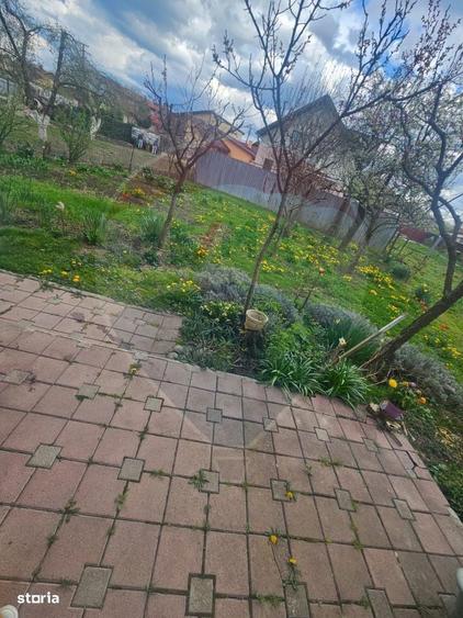 Casa / Vila 5 camere, curte amenajata, mutare imediata - 12