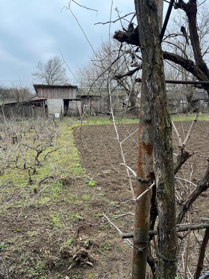 Casa de vanzare - Giurgiu - 3